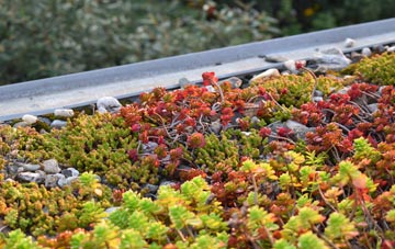 the cost of Abthorpe green roof installation