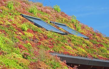 Abthorpe living roof systems