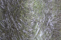 Abthorpe fibreglass roof work